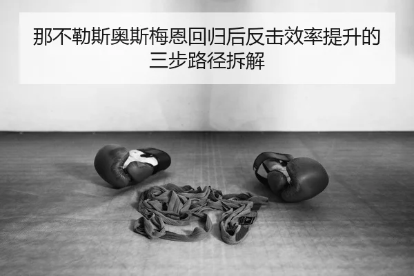 na-bu-le-si-ao-si-mei-en-hui-gui-hou-fan-ji-xiao-lv-ti-sheng-de-san-bu-lu-jing-chai-jie-2-994.jpg